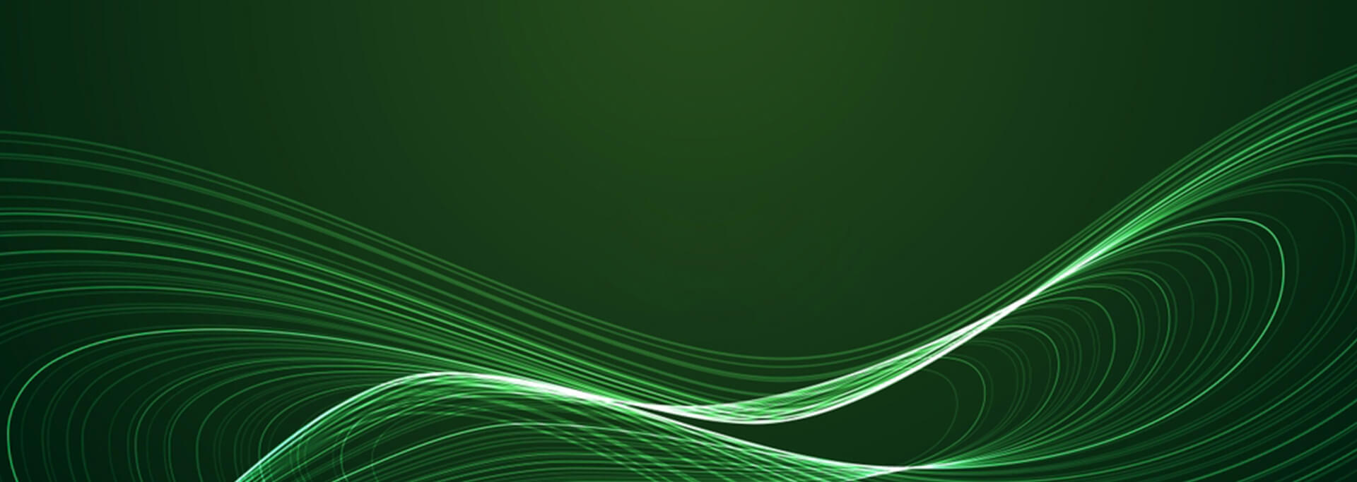 Sustainability Report 2025