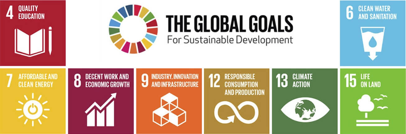 The-Global-Goal